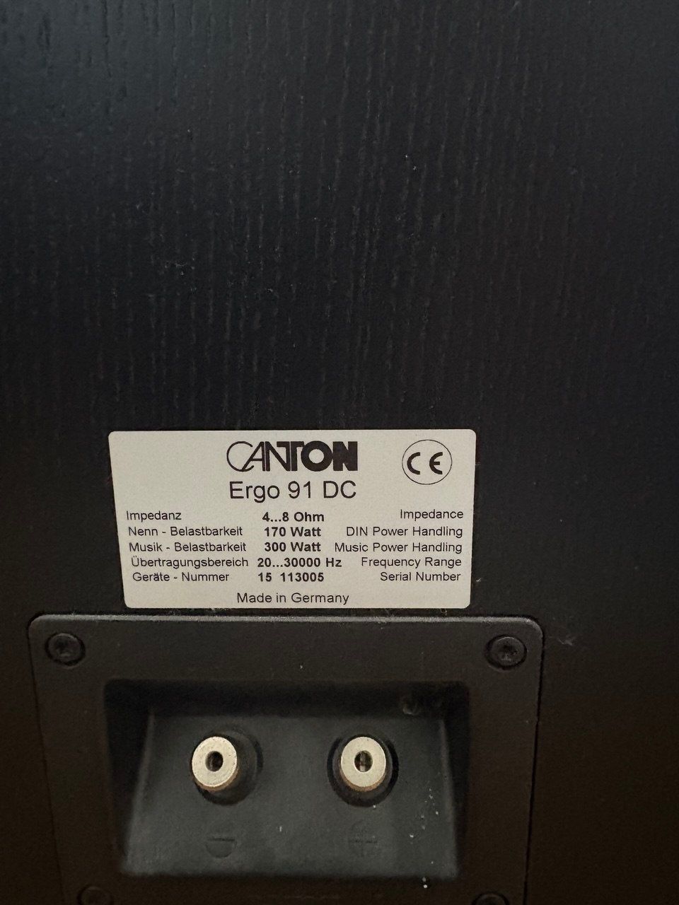Canton Haut-parleurs: 2x Standlautsprecher Canton Ergo 91 DC – D'occasion à Rorschacherberg par Svebe 3