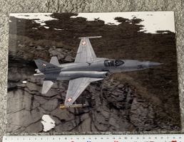 Grosses Foto eines Tiger F-5E 