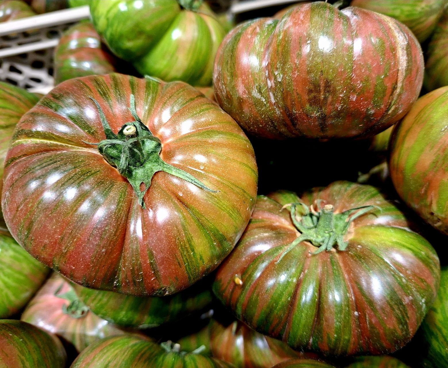 Piante & sementi: 20 Samen absolute Seltenheit: gestromte XL Rippentomate – Nuovo e nell'imballaggio originale da Rovio venduto da POSITIFFARTandPLANTS 1