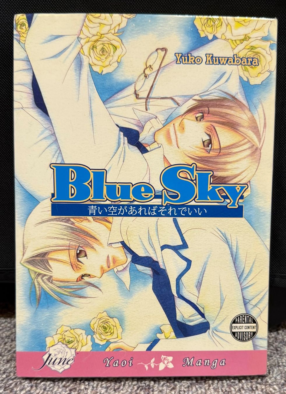 Fumetti: BL Manga: Blue Sky, englisch – Usato da Triesen venduto da cla_q2js