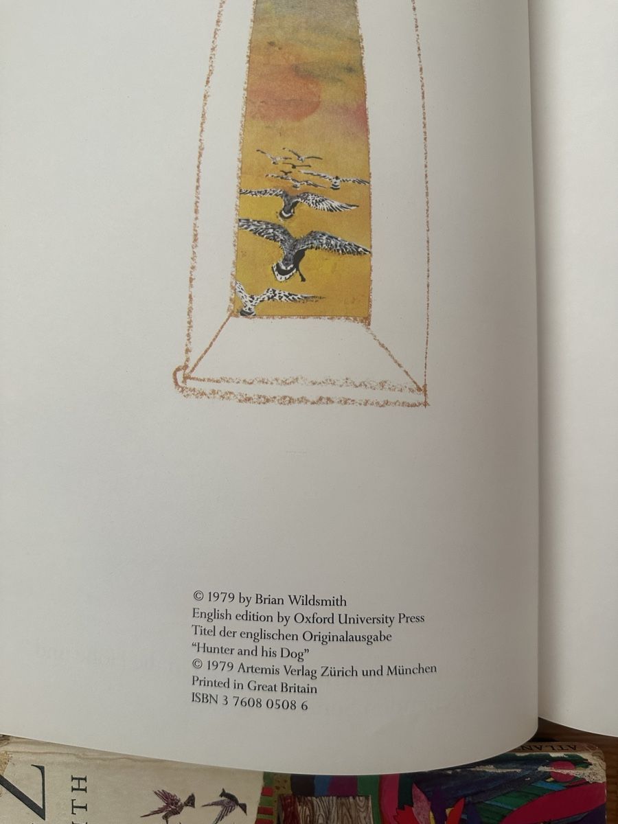 Libri: 8 Bilderbücher von Brian Wildsmith – Usato da Affoltern am Albis venduto da Sveta75 4