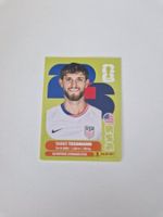 Panini Sticker USA9