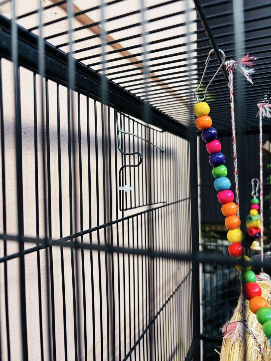 Gabbie, trasporto & Sicurezza: Grande cage oiseaux – Usato da LA HEUTTE venduto da Moonlightwater 4