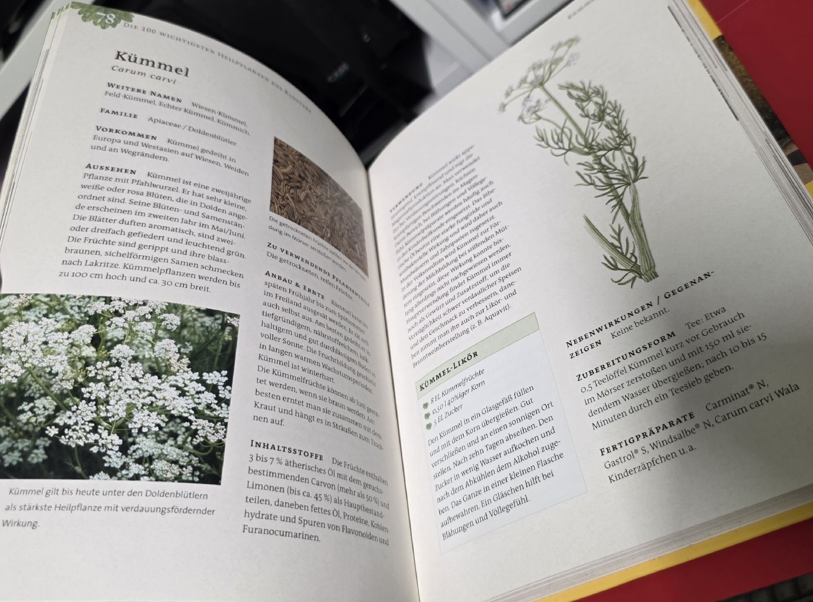 Libri: Heilkraft aus dem Klostergarten - Kosmos - BUCH – Usato da Reinach BL venduto da _MasterK_ 5