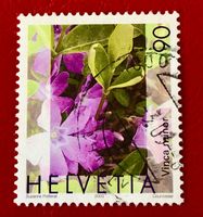 Nr.1074 Gemeines Flora,Immmergrün GESTEMPELT 2003    