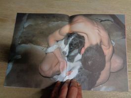 Dog Hund Walter Pfeiffer