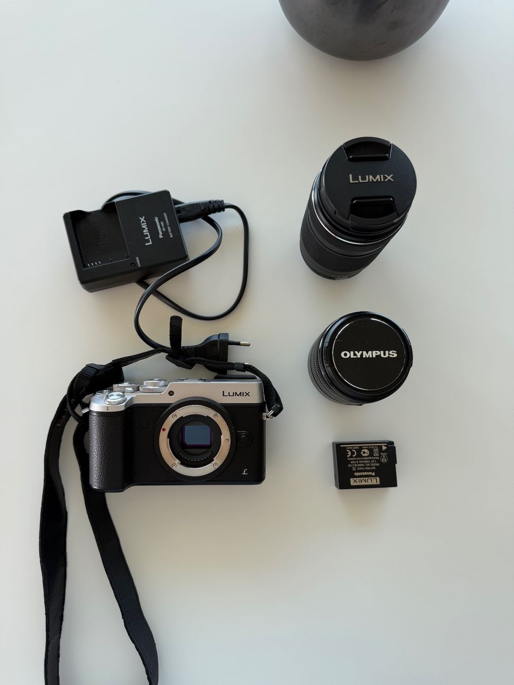 Panasonic Fotocamera: Panasonic Lumix GX8 – Usato da Berlingen venduto da cr7yann