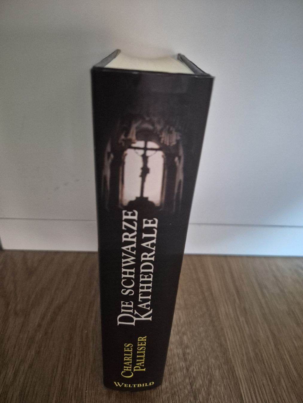 Bücher: Buch Charles Palliser Die Schwarze Kathedrale  – Gebraucht aus Kloten von Philux_1892 2