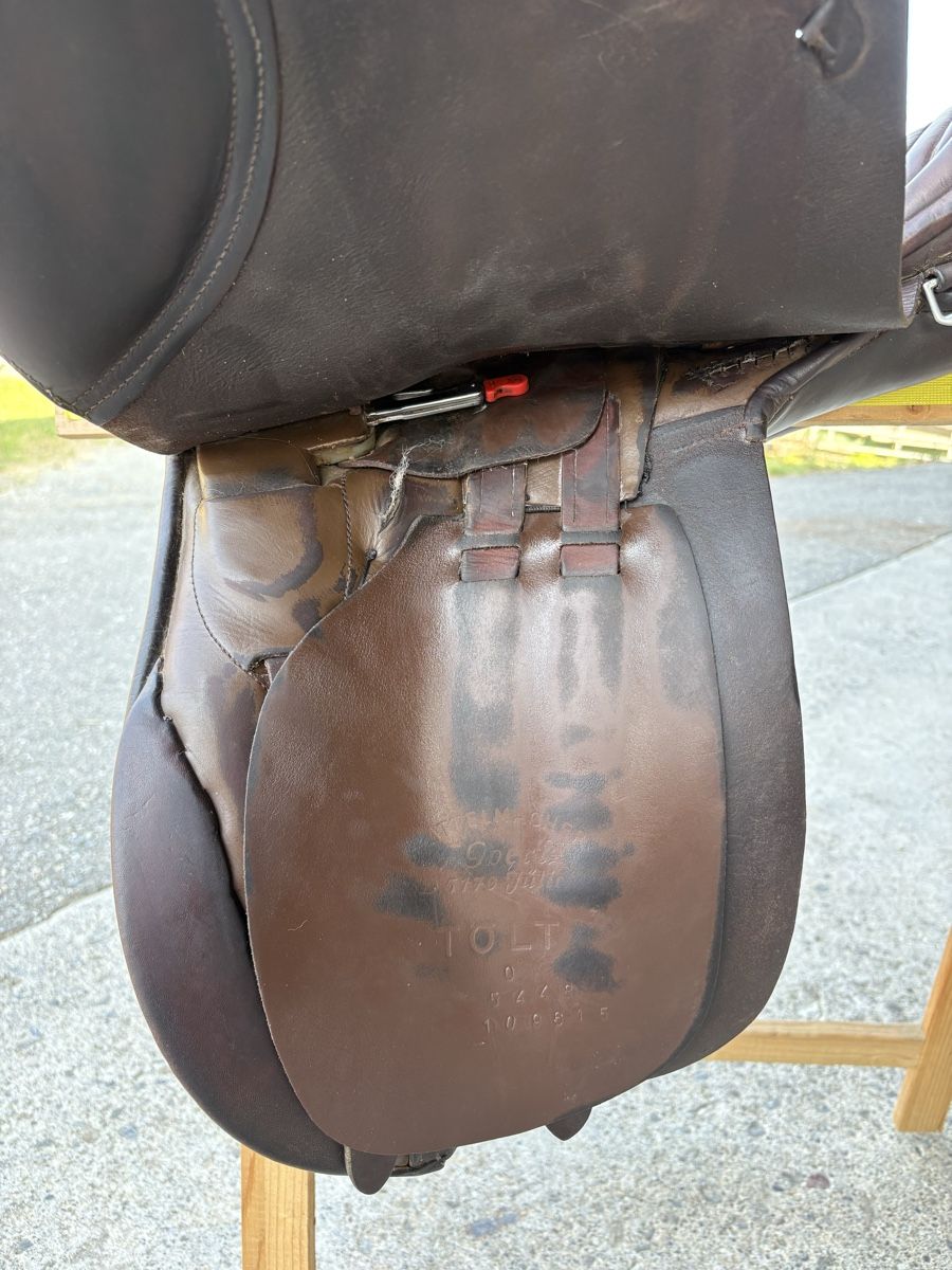 Selle & Accessori: Goertz Töltsattel Rippsitz – Usato da Dübendorf venduto da the_9n6r 4