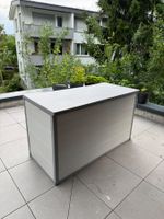 Auflagenbox / Gartenbox – hellgrau/grau – sehr guter Zustand