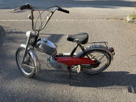 Pony 503 gt mit Ausweis 