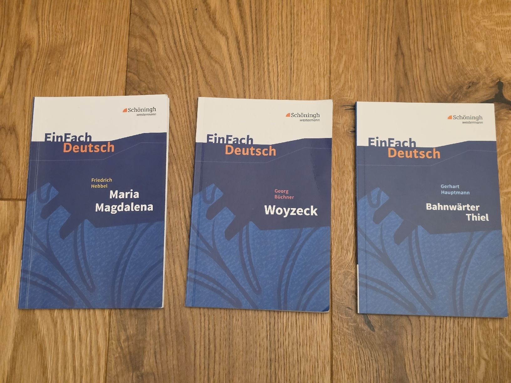 Libri: EinFach Deutsch 3 Bücherset – Nuovo (secondo la descrizione) da Schliern b. Köniz venduto da Zelda_adlez