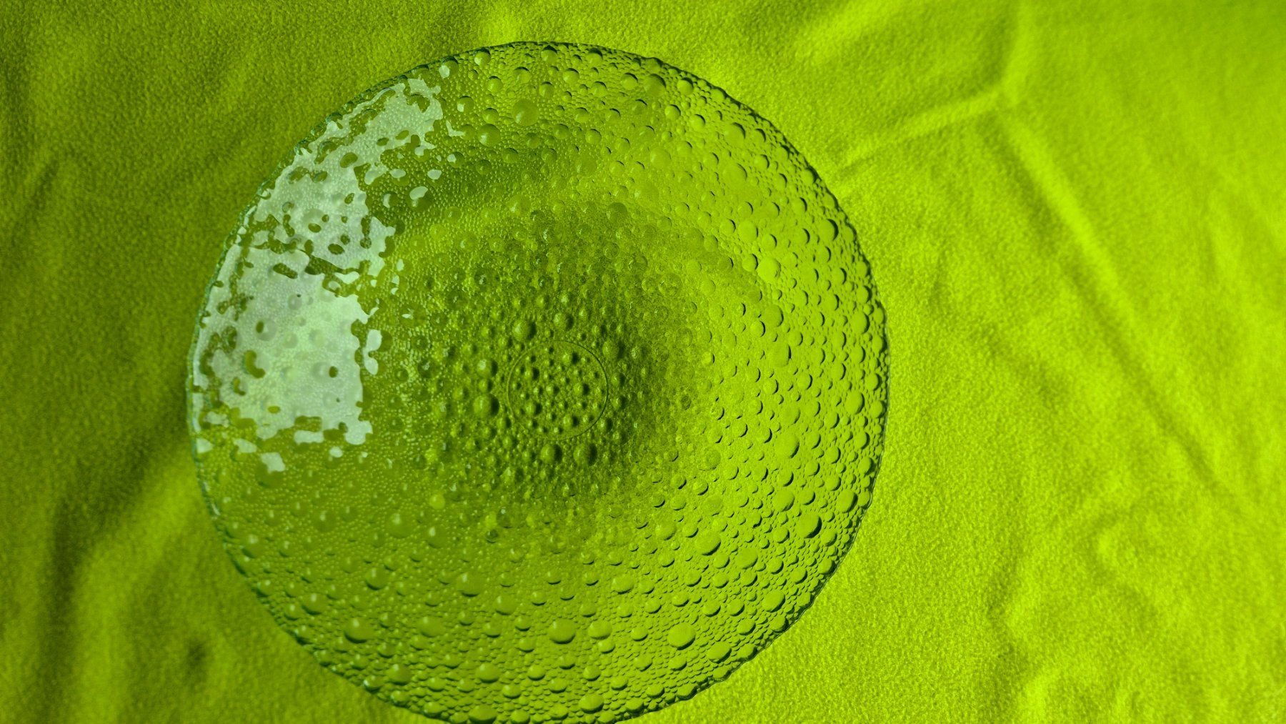 Ciotole: Glasschale / Obstschale rund – Usato da Steinhausen venduto da joseph-sen 2