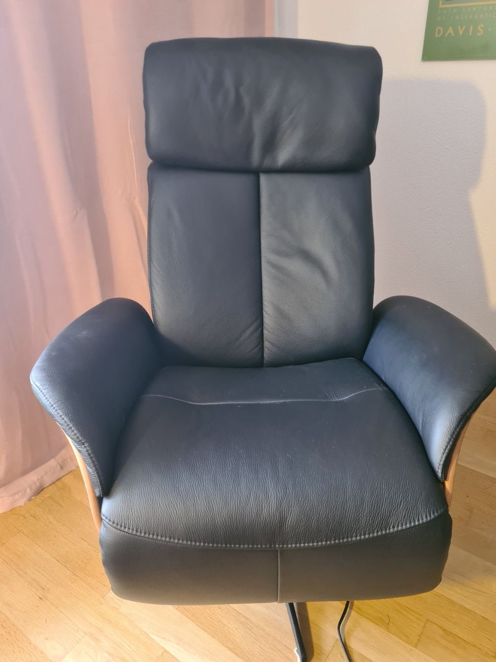 Poltrone: Ledersessel – Nuovo (secondo la descrizione) da Bern venduto da has_sph2 1