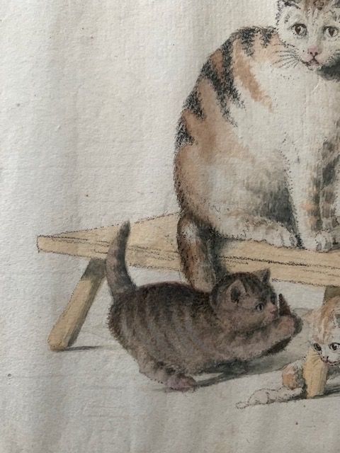 Gottfried Mind, Bern Katzen Katzenmutter 4