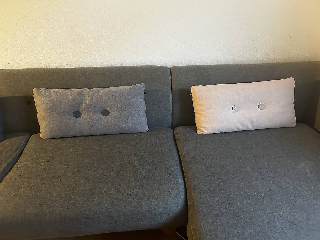 Divani: Sofacompany Eddie Sofa – Usato da Zürich venduto da HopHop1 3
