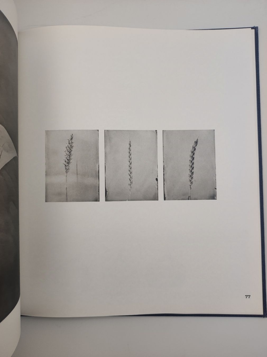 Libri: PHOTOBOOKS - STEFFEN DIEMER – Nuovo (secondo la descrizione) da Goldach venduto da Gaip 1