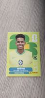 Fifa World Cup Panini BRA 20
