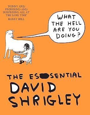 Comics: The essential David Shrigley Comic WHAT THE HELL ARE YOU .. – Gebraucht aus Basel von schoggignocchi