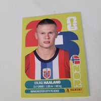 Panini 26 ErlingHAALAND