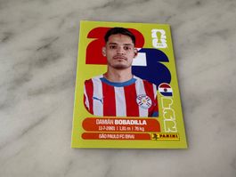 Panini FIFA WM 2026 Sticker Damián Bobadilla Paraguay PAR 11
