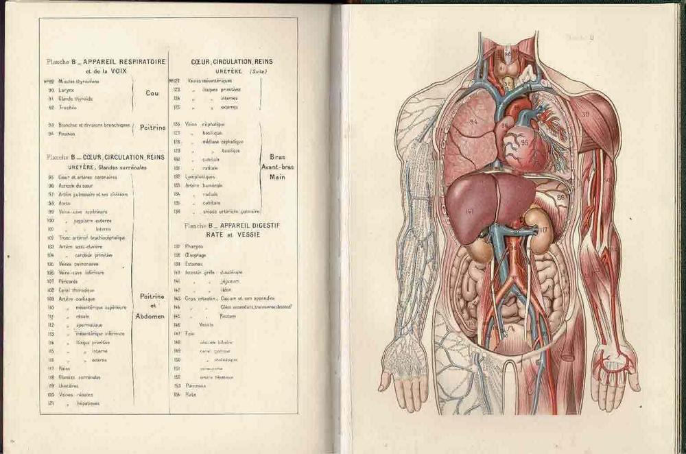 Larousse médical illustré