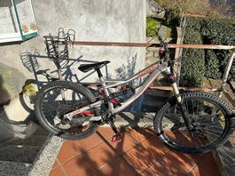 Specialized FSR