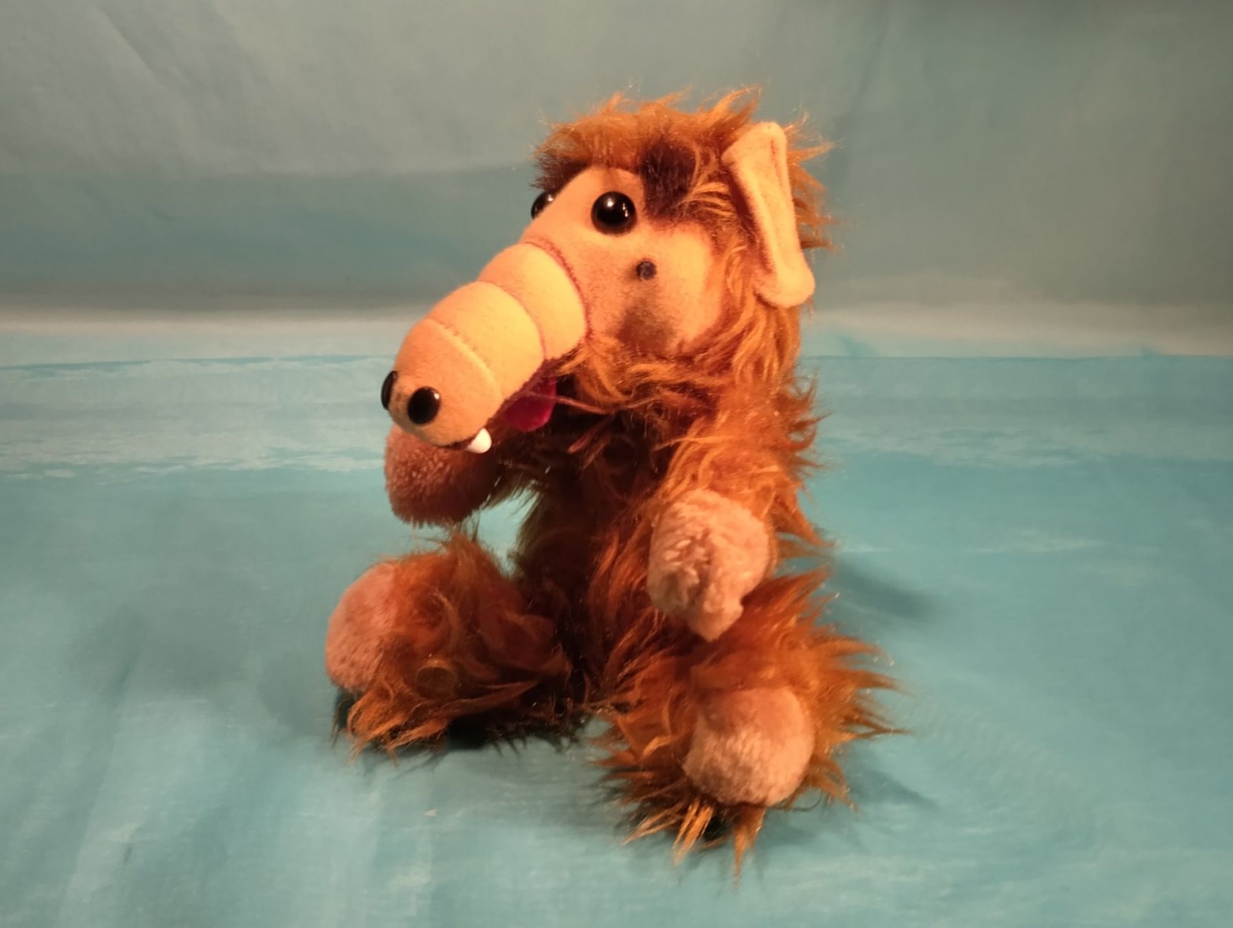 Giocattoli: ALF, Plüsch, L: 22cm – Usato da Bellach venduto da JingleCherry 2