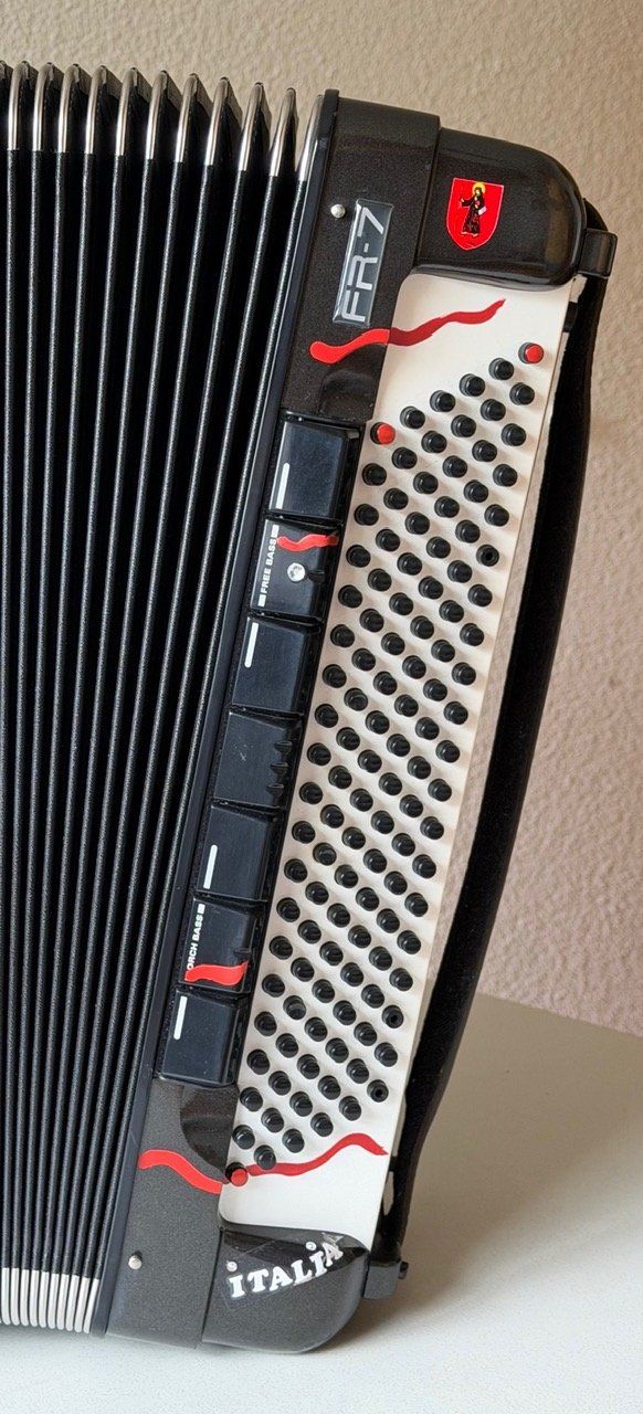 Roland Strumenti musicali: Roland FR7 Digitales Piano Akkordeon – Usato da Siebnen venduto da goodies01 4
