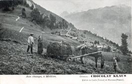 Médières  VS   (partie de Verbier)  -  Aux Champs  / mulet