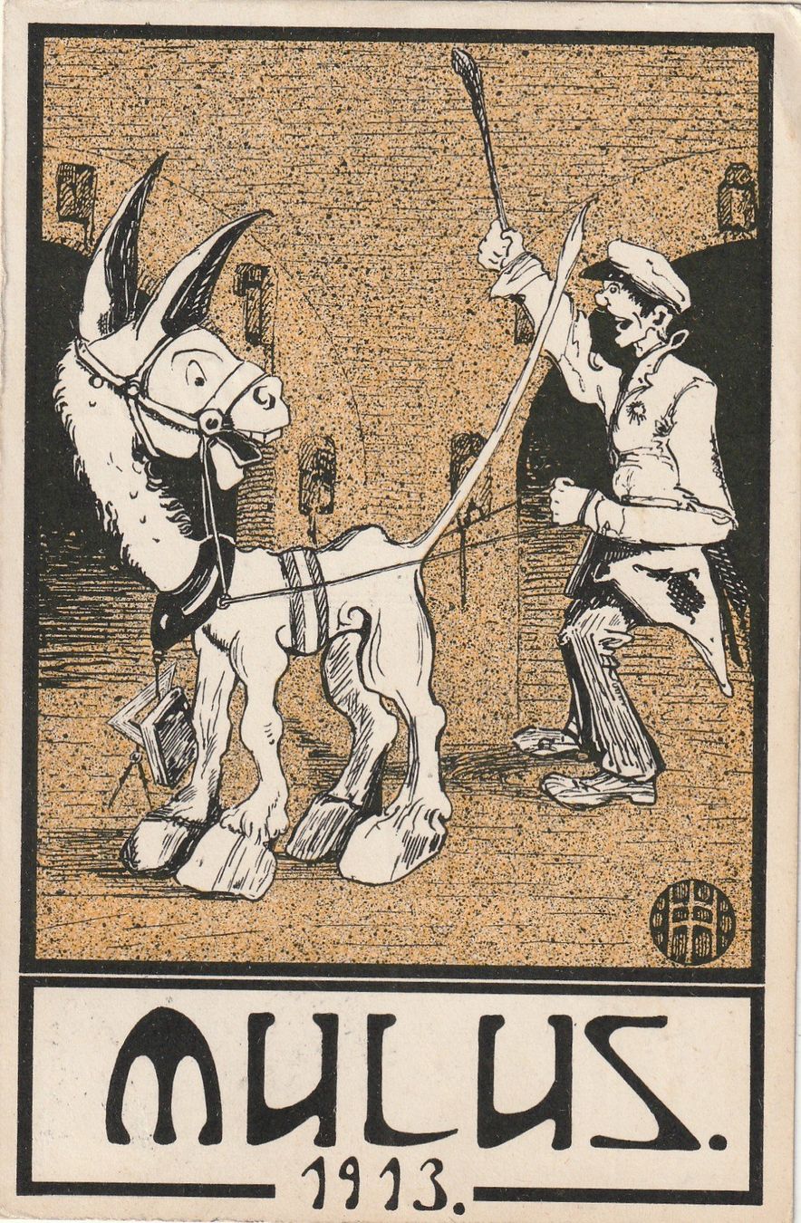 Ansichtskarten: Studentenkarte Mulus 1913 – Gebraucht aus Rorschacherberg von fratovi2