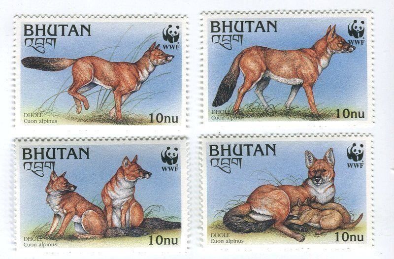 Alle Briefmarken: Briefmarken "Rothund". Bhutan. – Neu und originalverpackt aus Basel von Butsch5