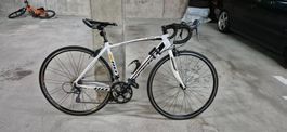 Rennrad GO SPORT Spego s110