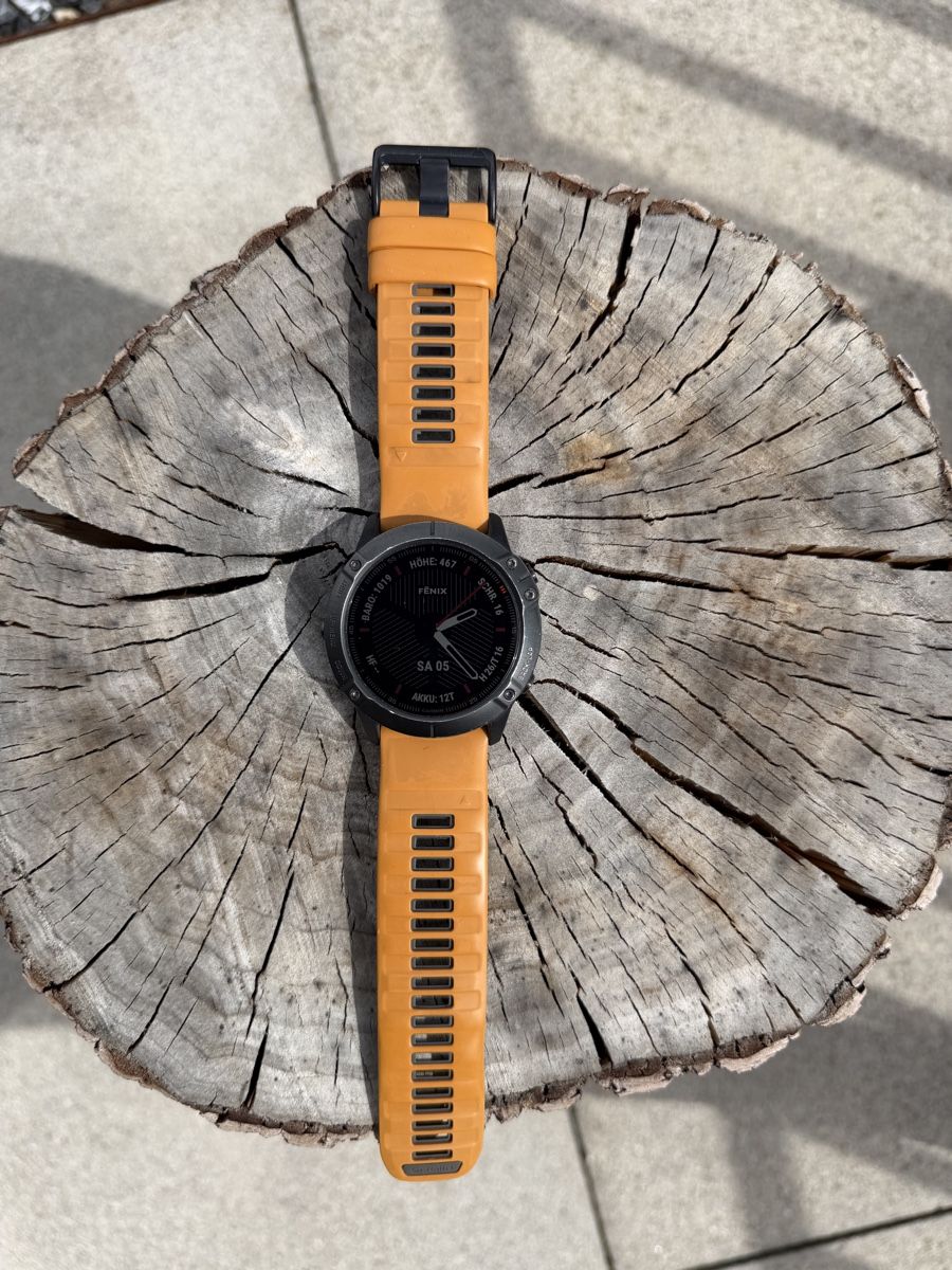 Fenix Smartwatch: Garmin Fenix 6x Sapphire – Usato da Muri AG venduto da Asti2000