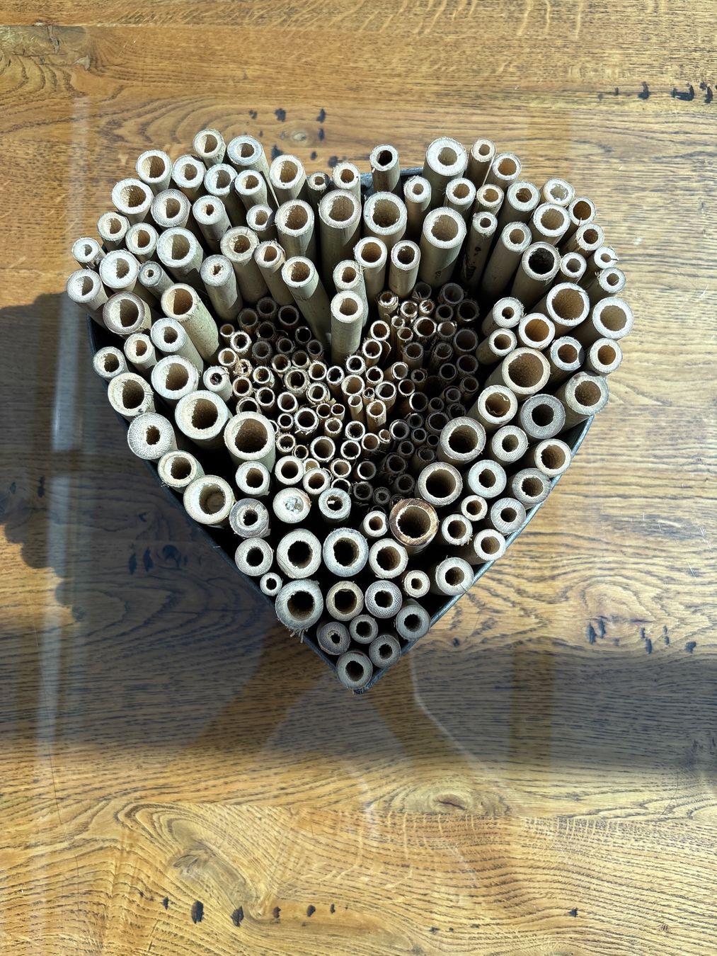 Alveari: Insektehotel in Herzform, Unikat – Nuovo (secondo la descrizione) da Knonau venduto da Kaktus122 1