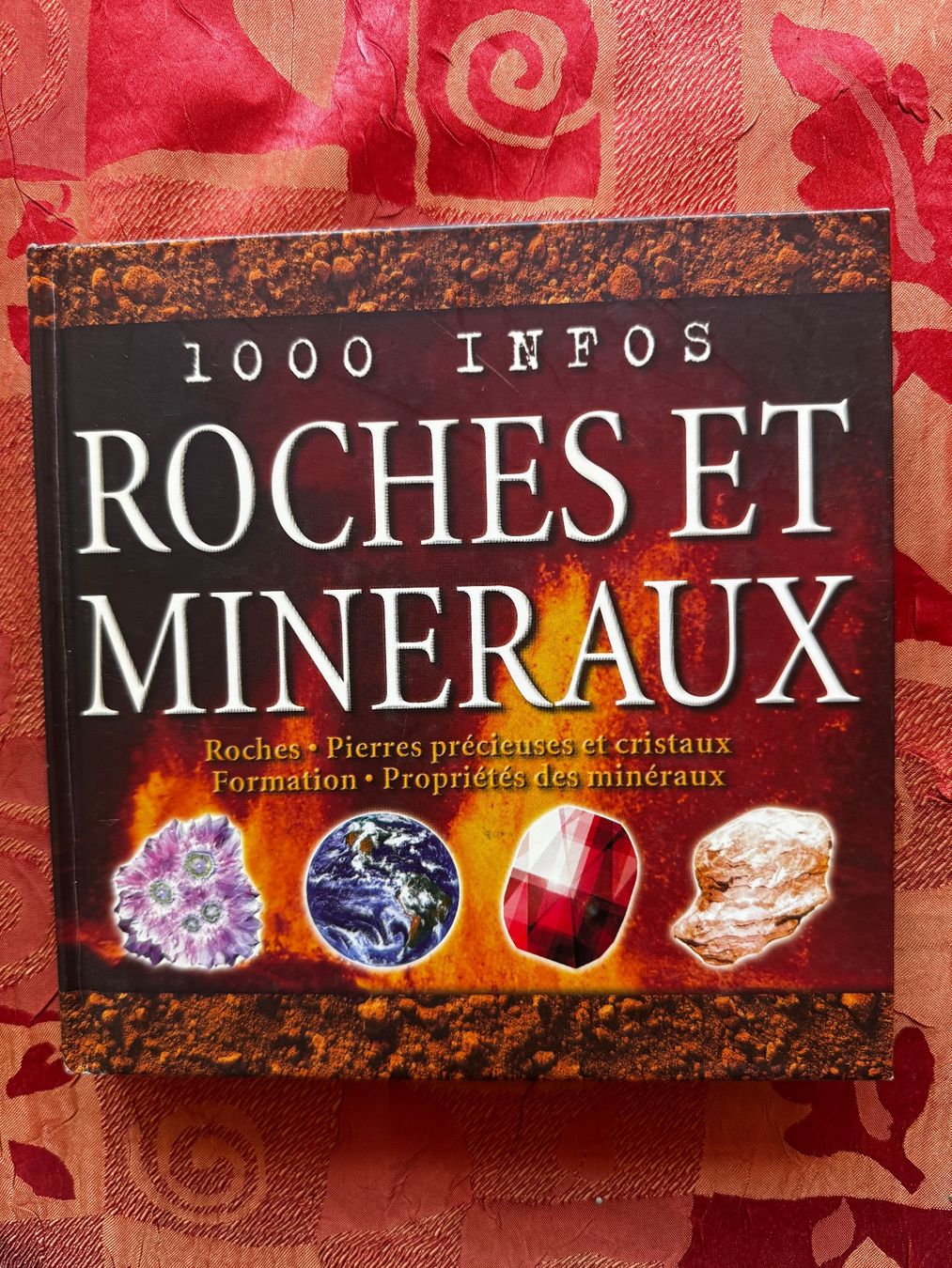 Libri: 1000 infos roches et minéraux – Usato da Ovronnaz venduto da Etagne68