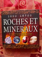 1000 infos roches et minéraux