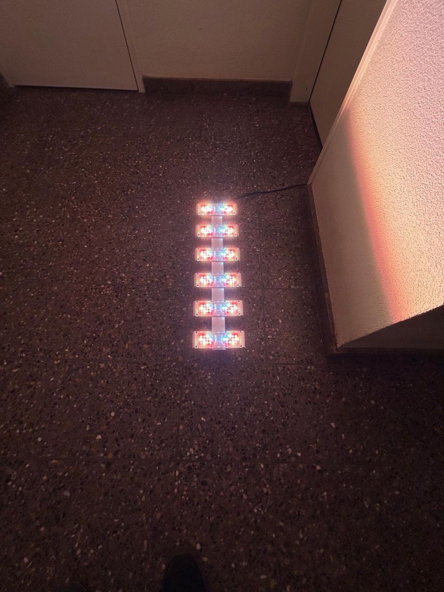 Sanlight Lampen: SanLight Q6W – Gebraucht aus Knonau von GolfDiesel 2