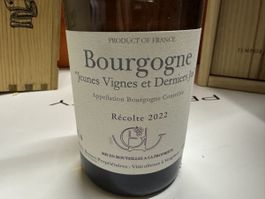 Weisswein Bourgogne Jeunes Vignes 2022 neu