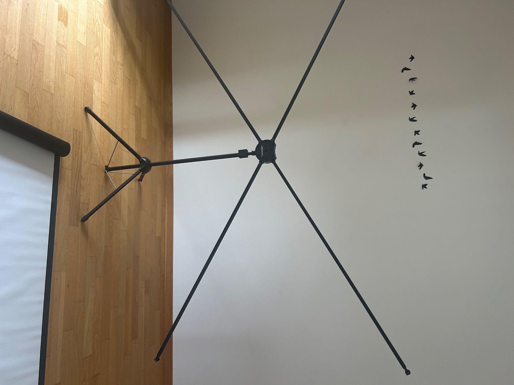 Home Cinema: Leinwand Beamer – Usato da Biel venduto da Maryelle 1