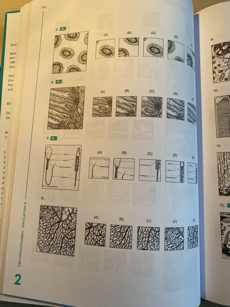 Libri: TMS/EMS Muster zuordnen Übungsbuch – Nuovo (secondo la descrizione) da Jonen venduto da ._Leonie_. 4