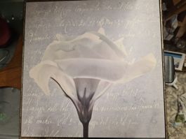 Deko Bild / Bilderrahmen 2in1, 32x32 cm
