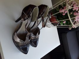 Pumps