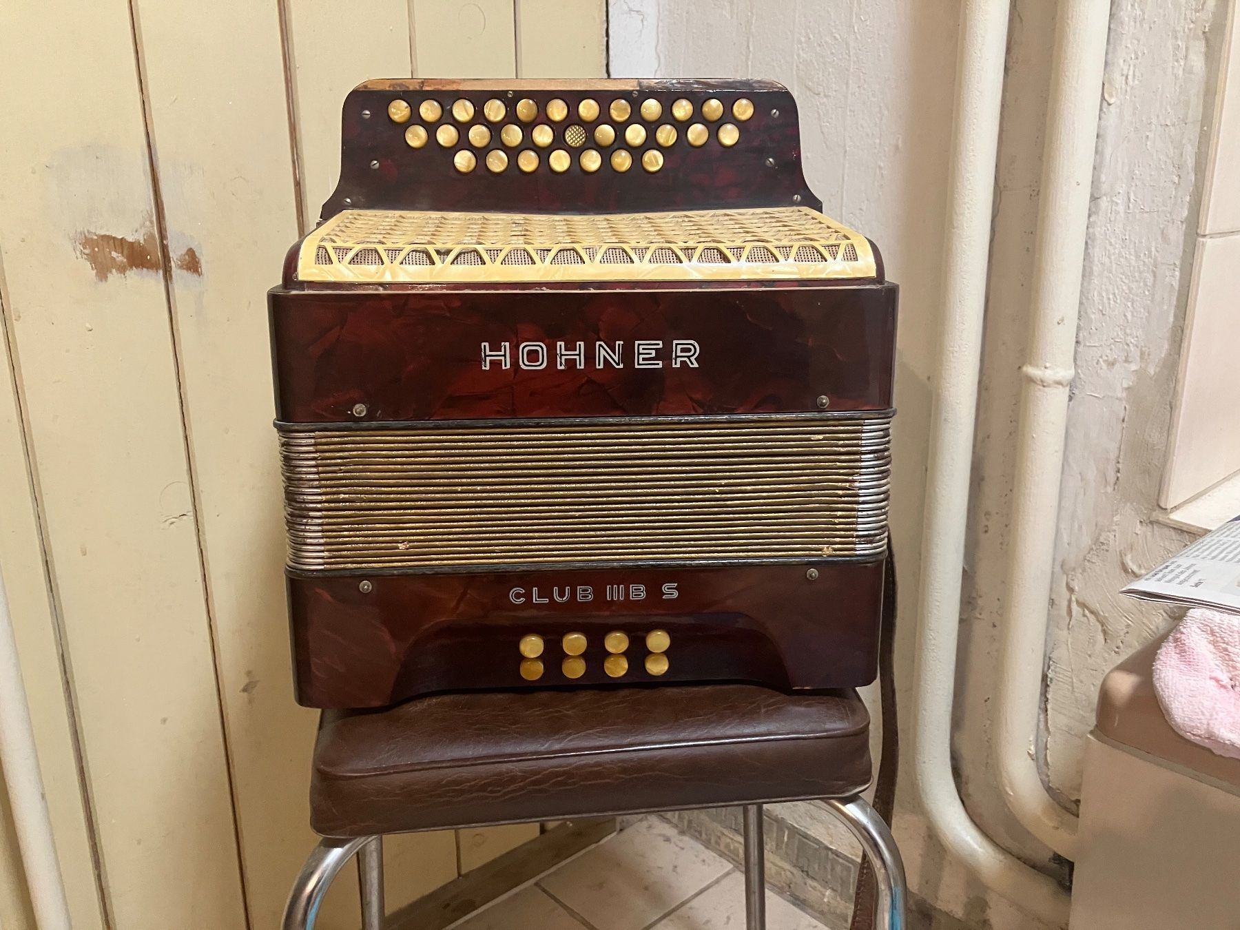 Strumenti musicali: Handorgel Horner – Usato da Wangenried venduto da Johndeere68