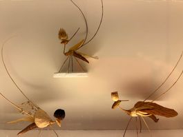 Olivia Etter, Etterlinge originales Kunstwerk