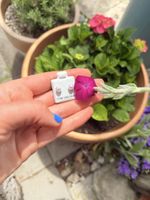 Schlichte Perlenohrstecker mit Zirkonia. Sommerlicher Schmuc
