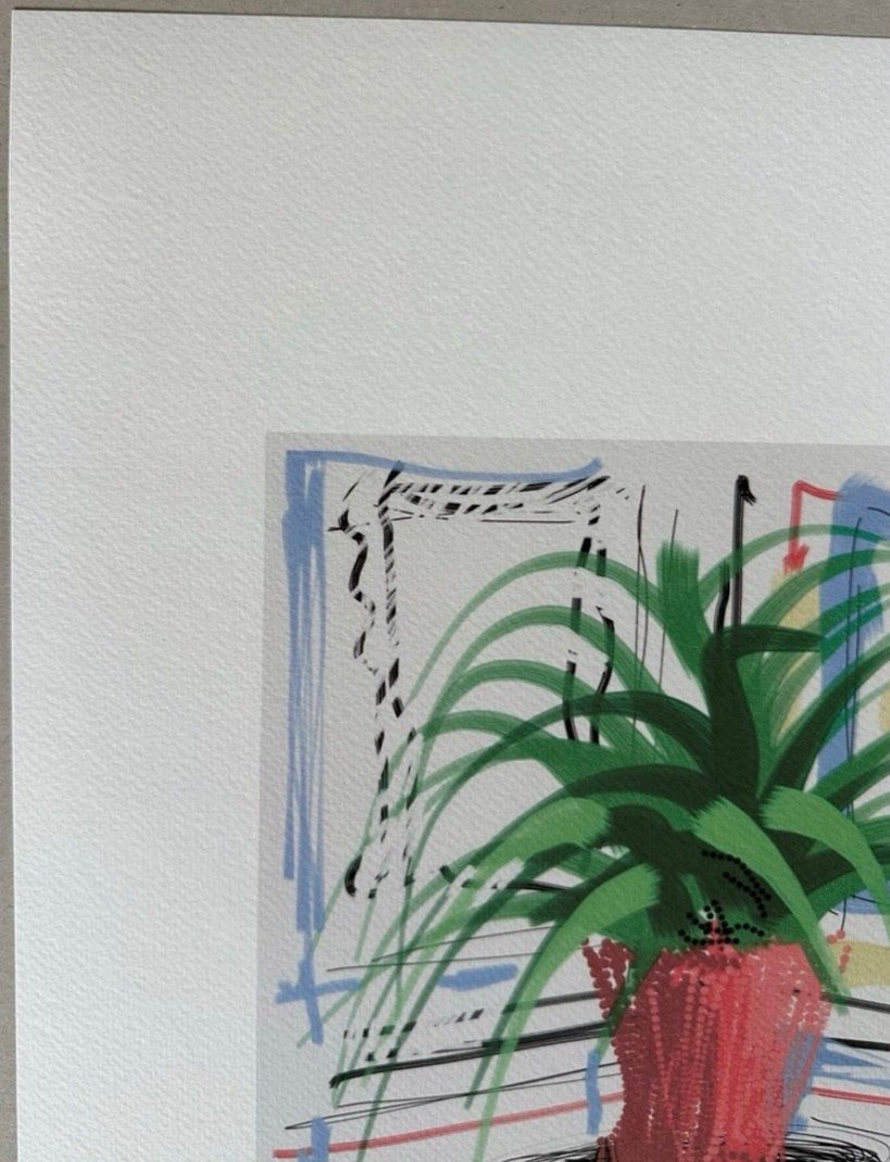 Foto & Immagini: David Hockney: Untiled XXX/200 – Nuovo (secondo la descrizione) da Meilen venduto da Smgdesign 3