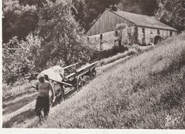Die alten Zeiten