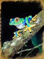 Neu! Original Pastellzeichnung, signiert. "Der Frosch"