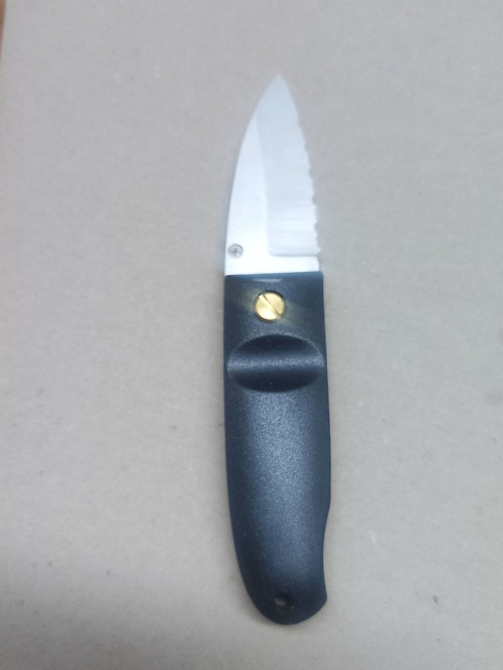 Taschenmesser: Messer - "Frost Cutlery - surgical steel" – Neu (gemäss Beschreibung) aus Sorengo von 74in 3
